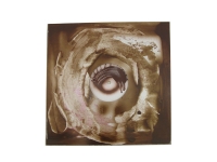 50_brun-blanc2008.jpg