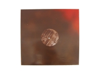 50_marron2008.jpg