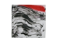 50_noir-rouge2008.jpg